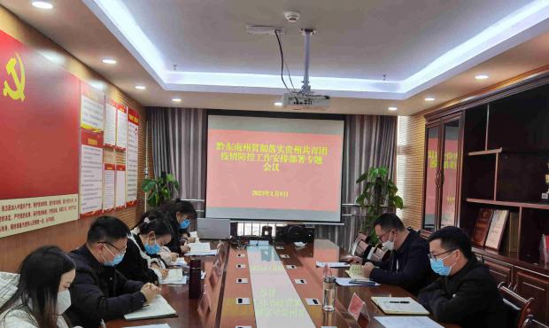 黔东南州召开贯彻落实贵州共青团疫情防控工作安排部署专题会议